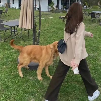 爱恨焚身第一季